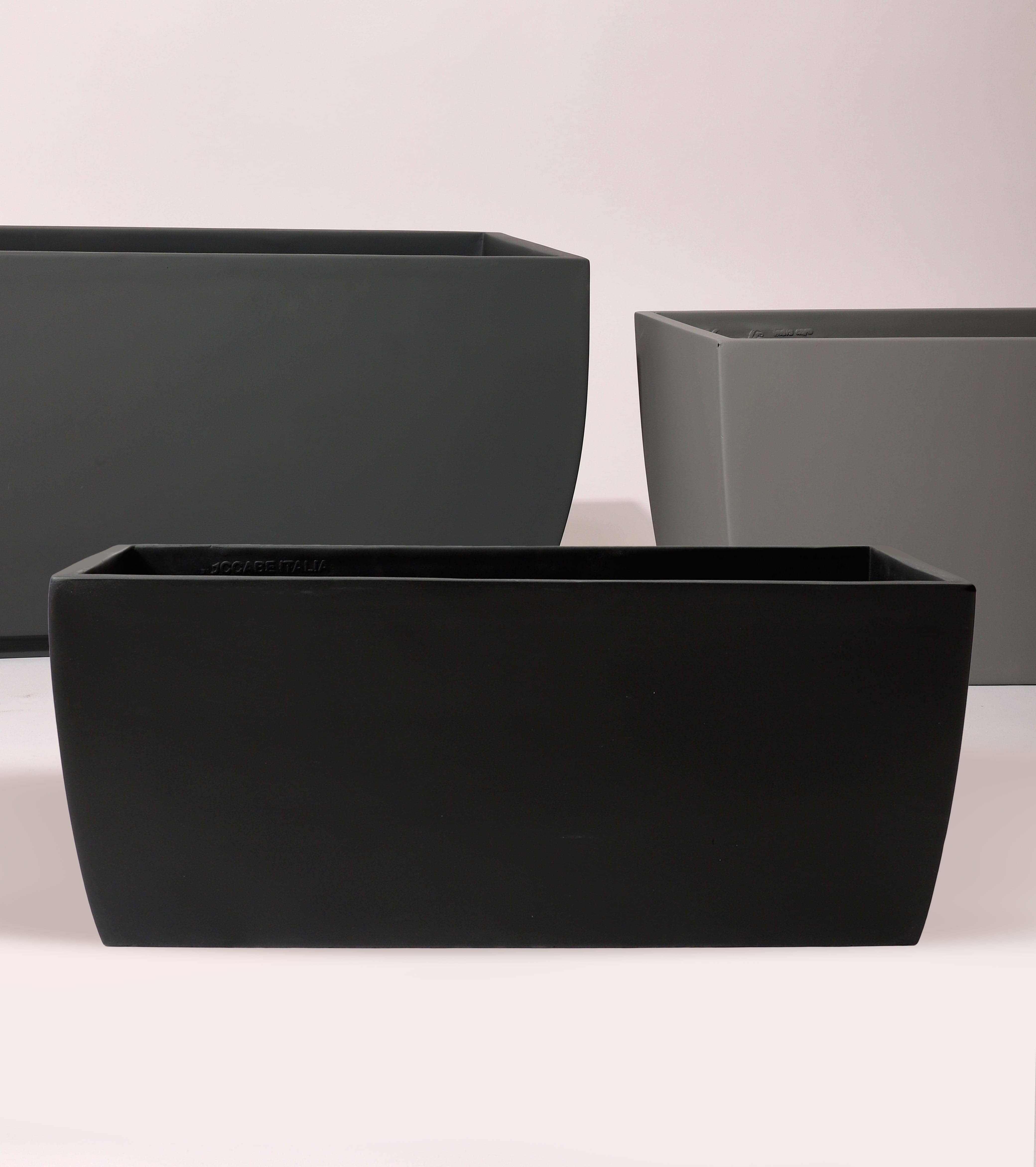 Curvitra