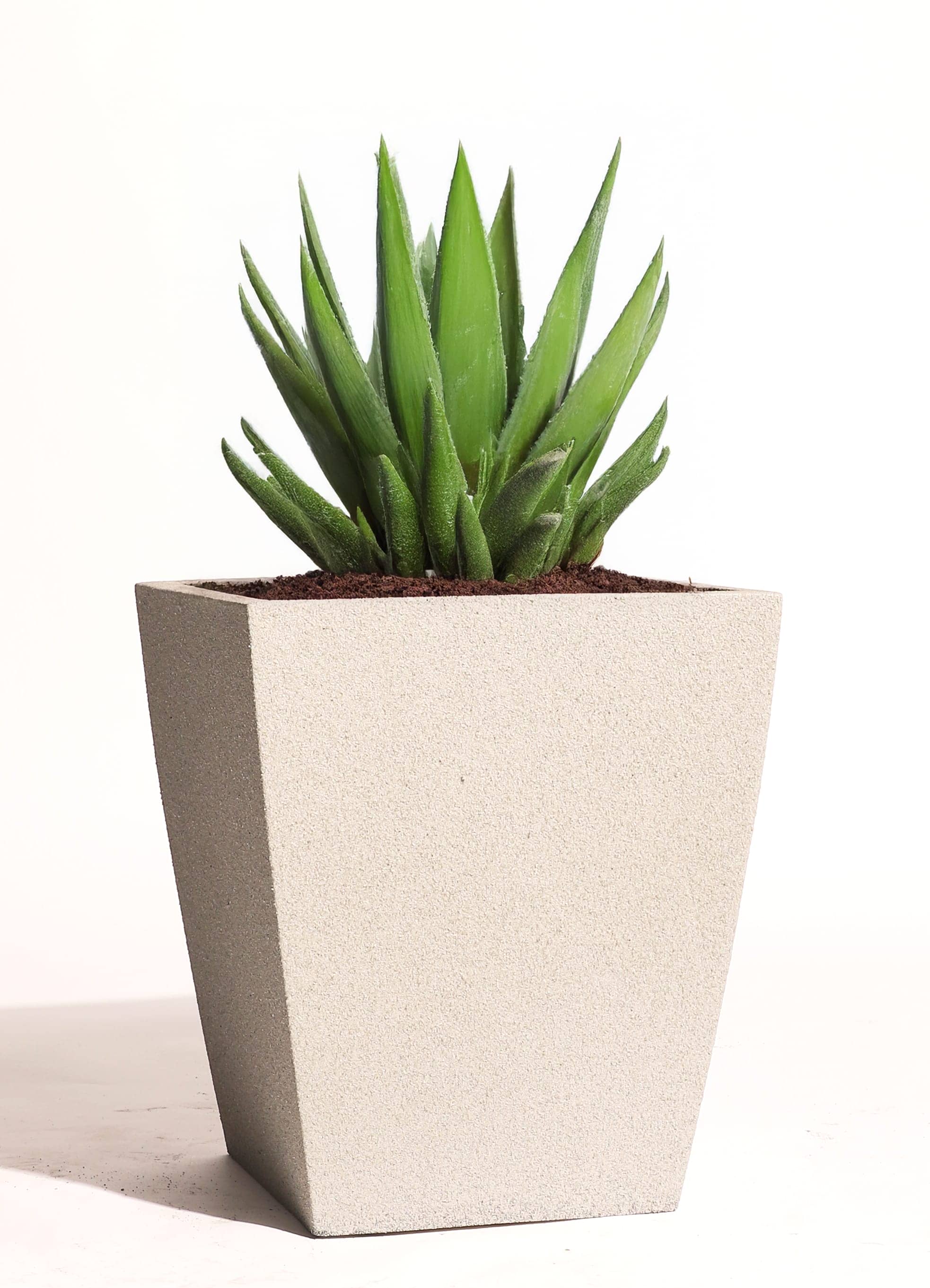 Bar Planter variation 1