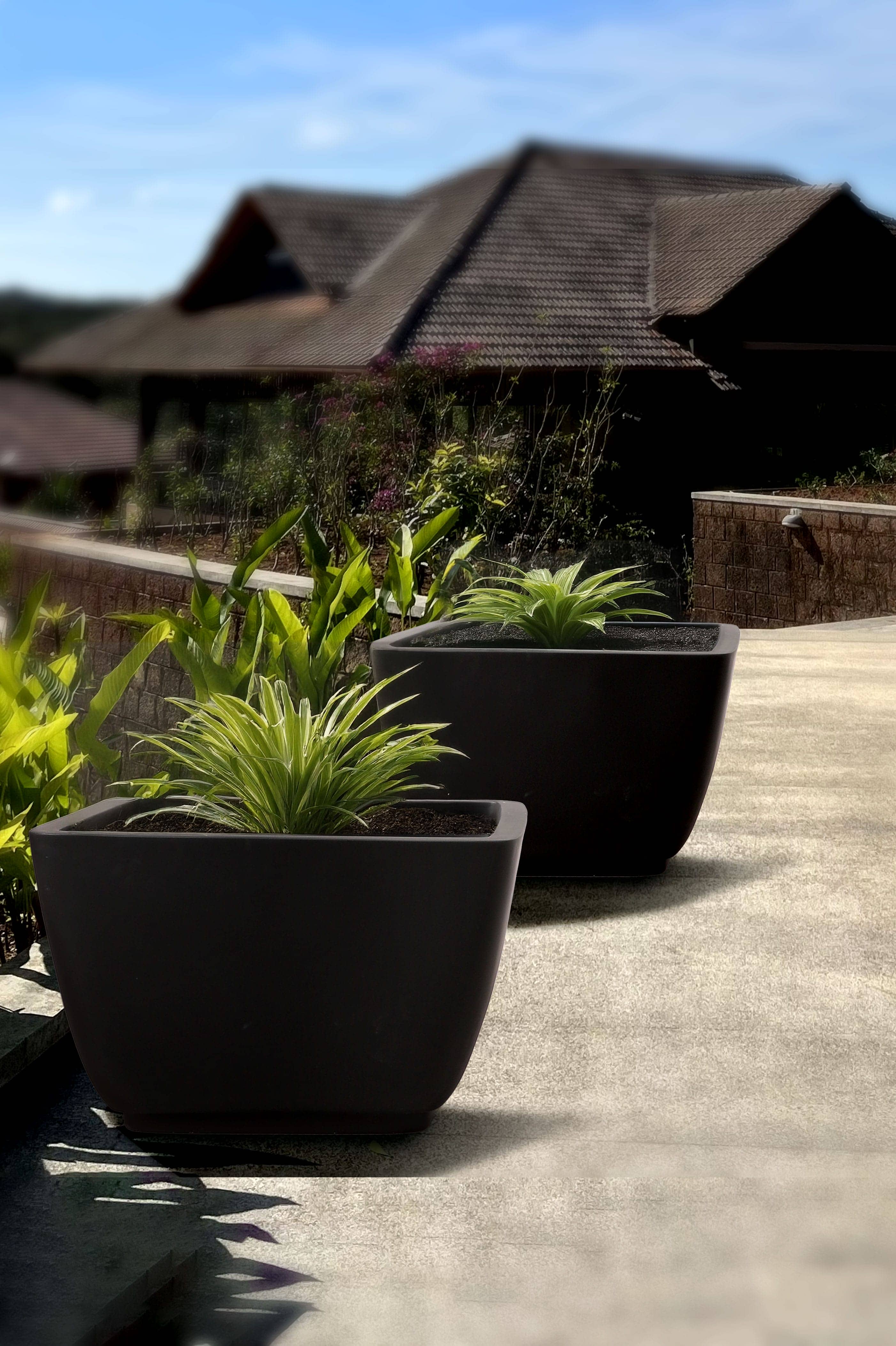 Bar Planter variation 1