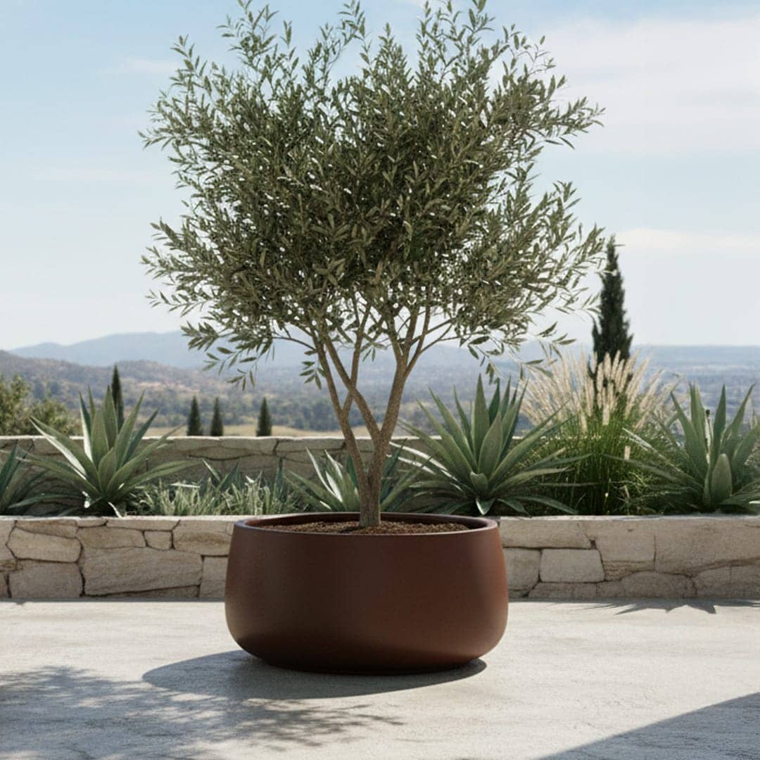 Bar Planter variation 1