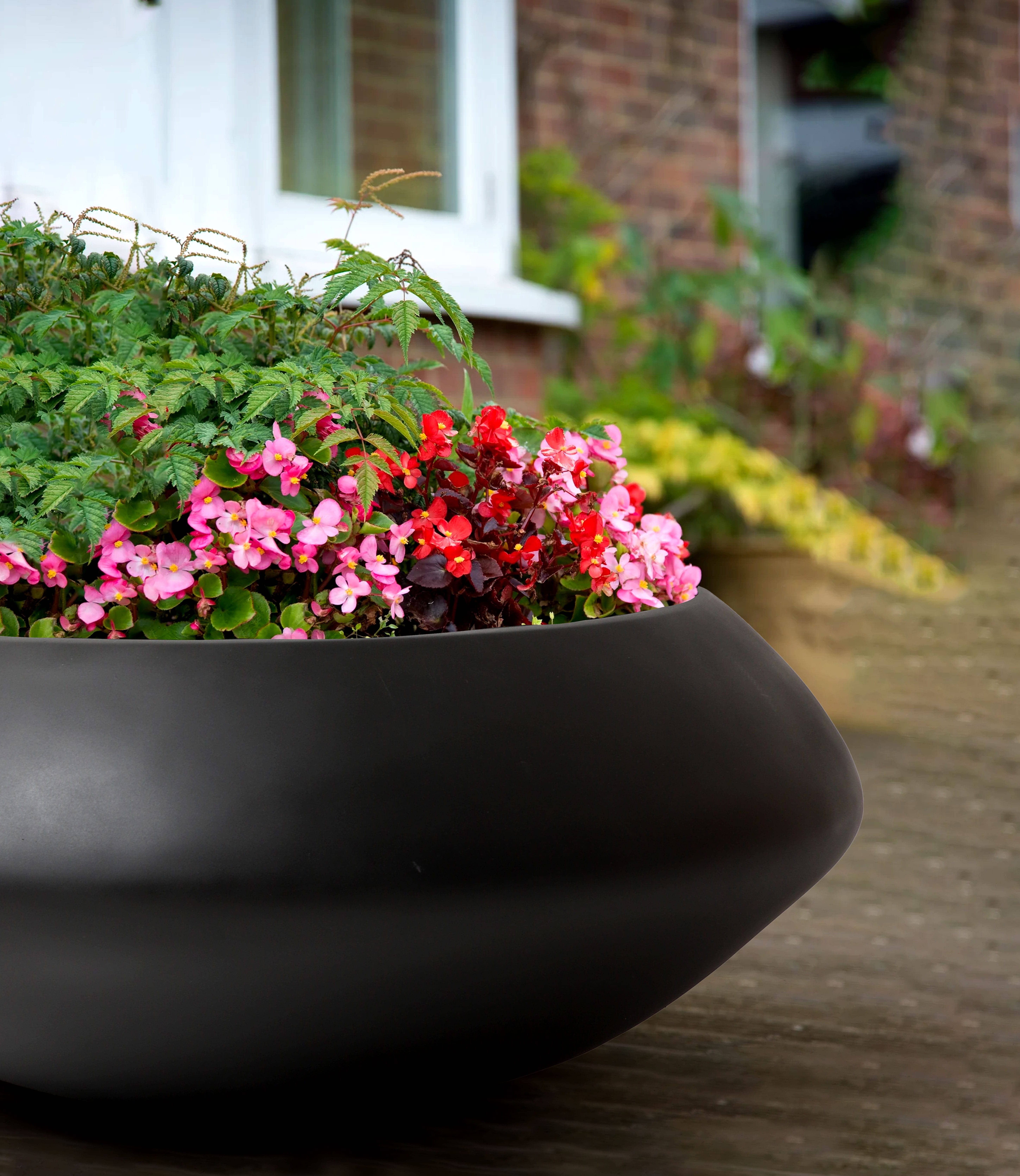 Bar Planter variation 1