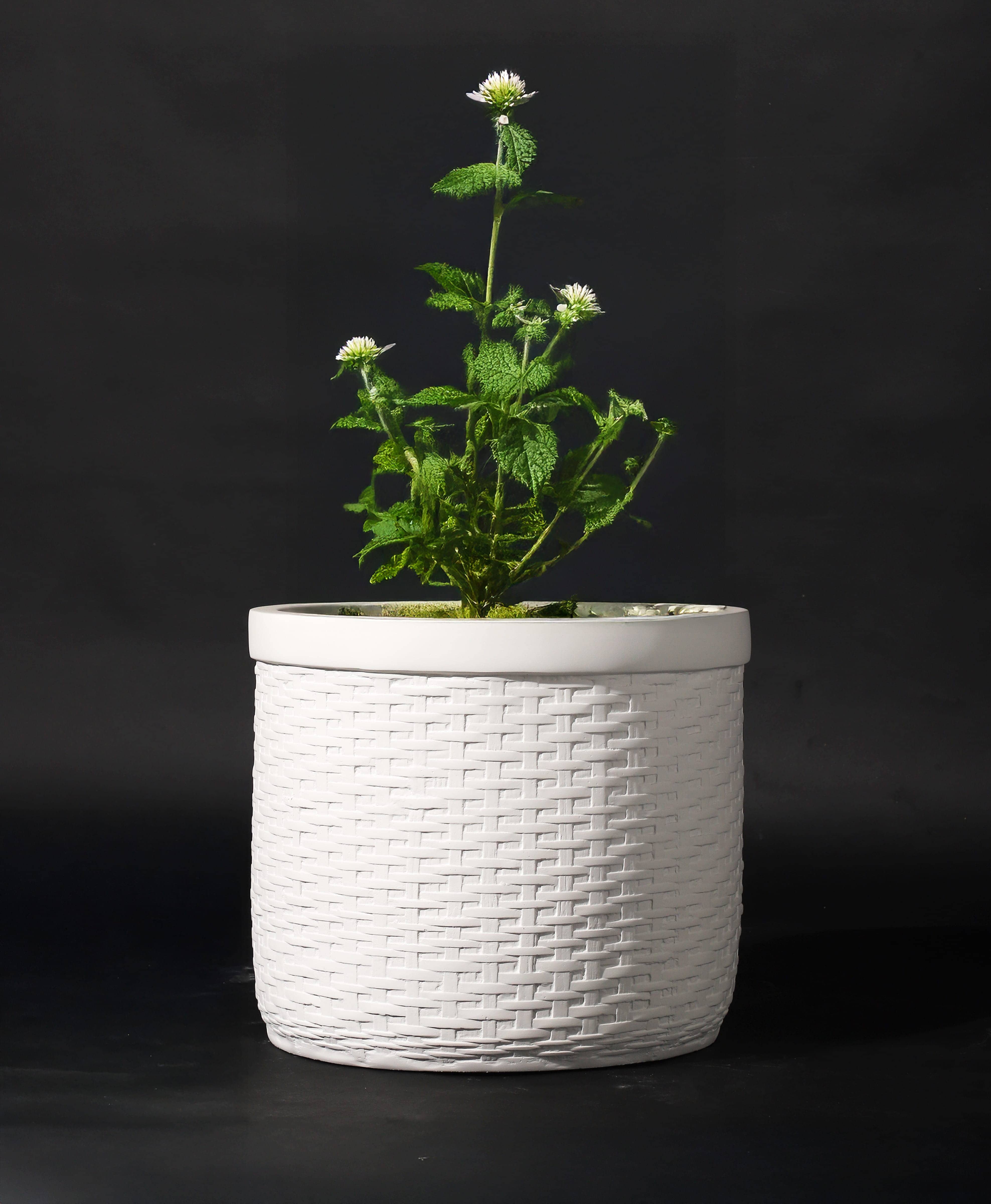Bar Planter variation 1