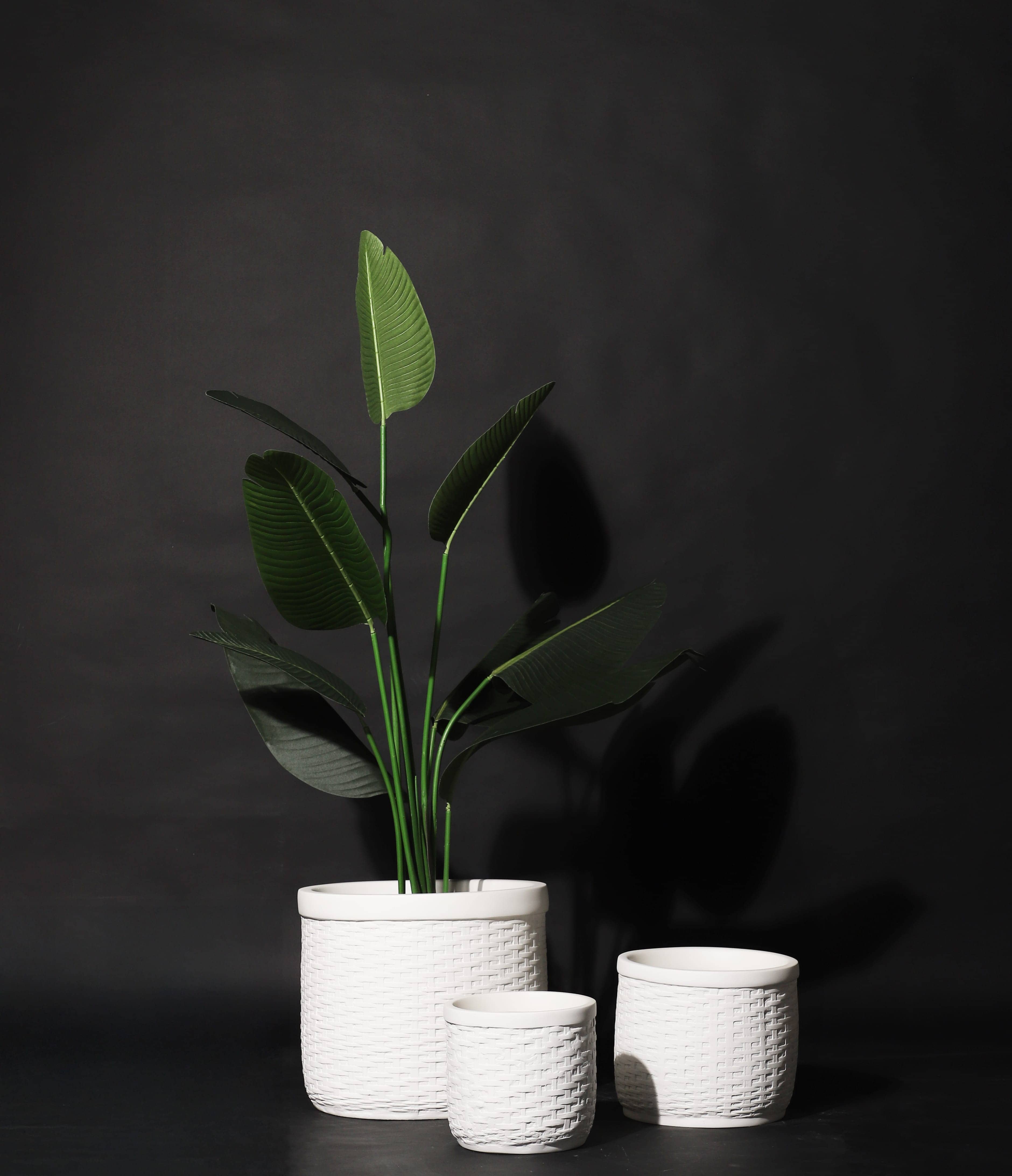 Bar Planter variation 1