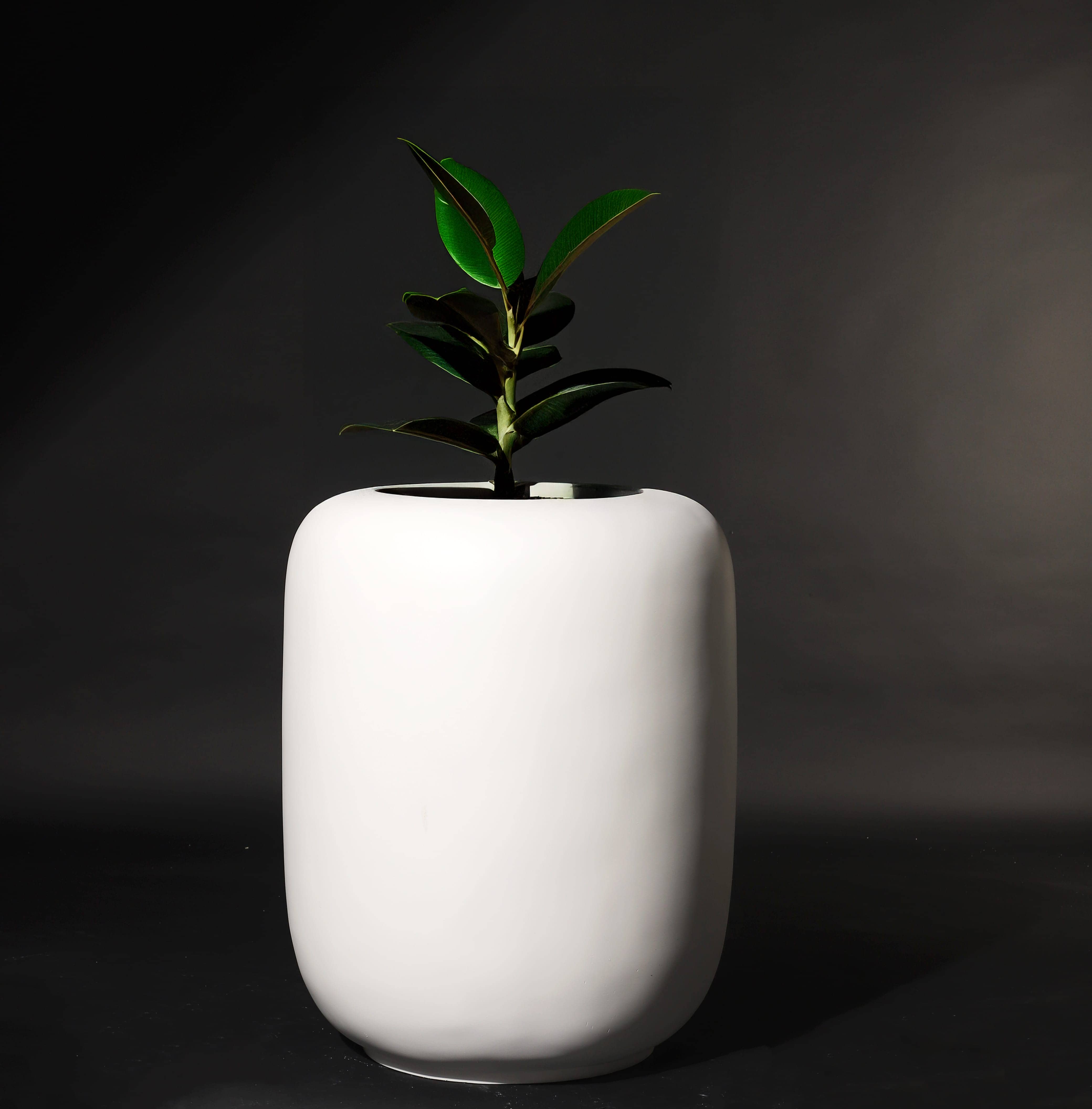 Bar Planter variation 1