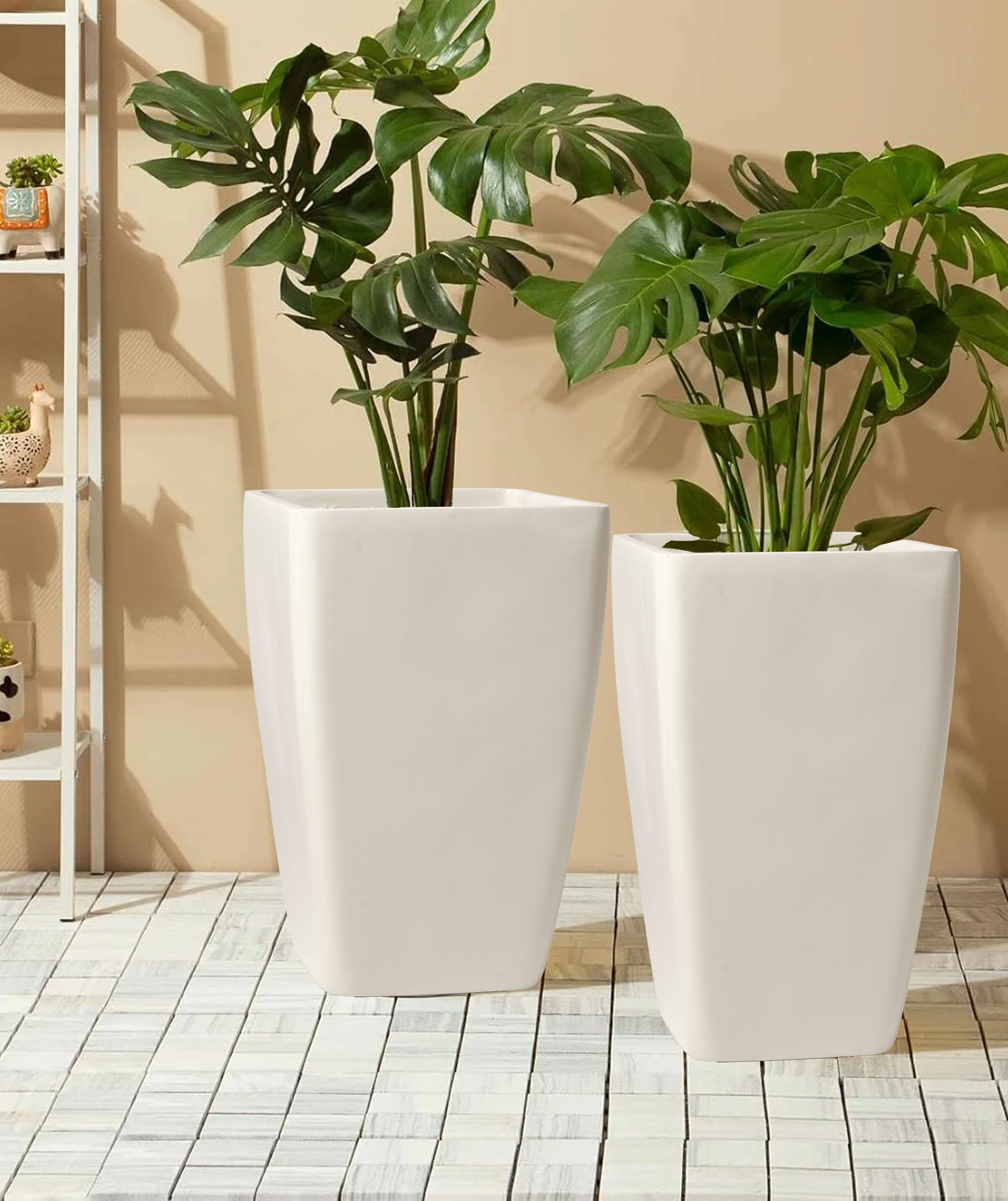 Bar Planter variation 1