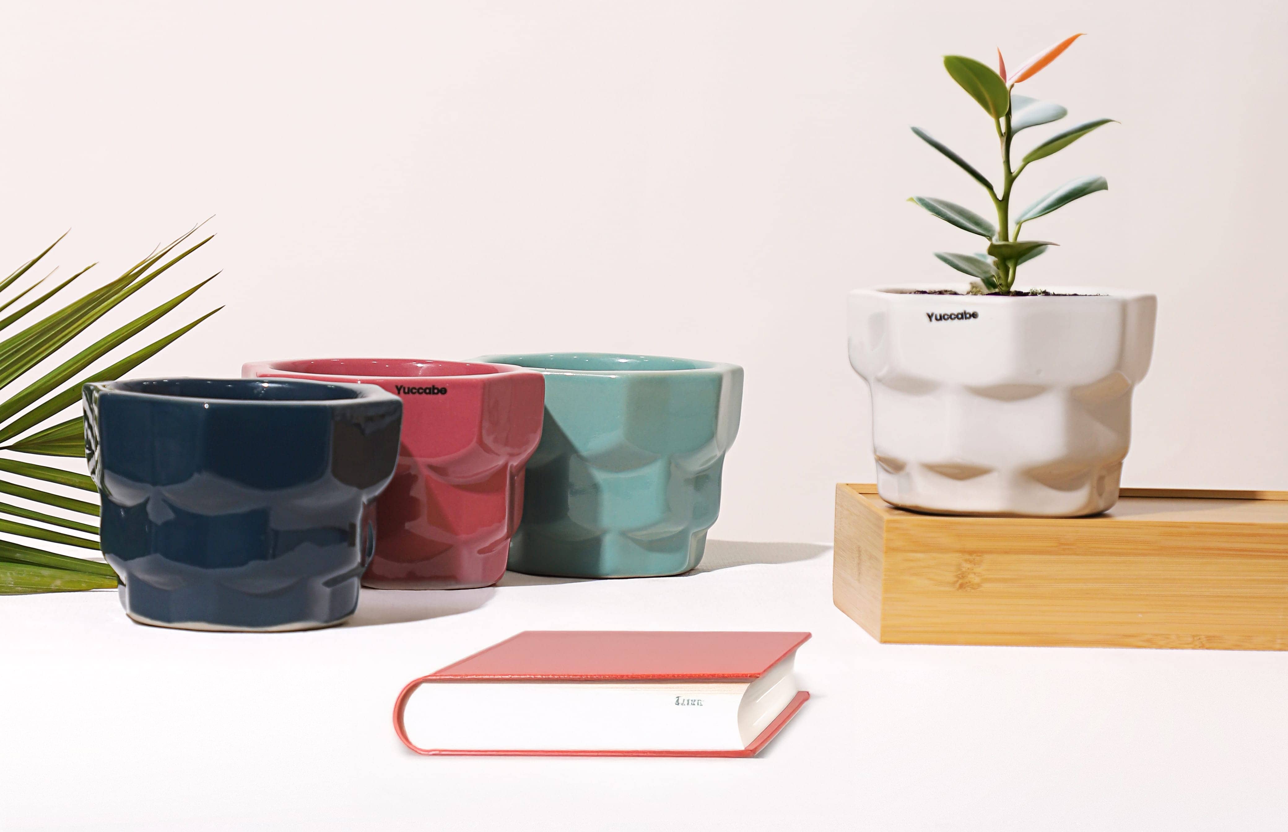 Bar Planter variation 1