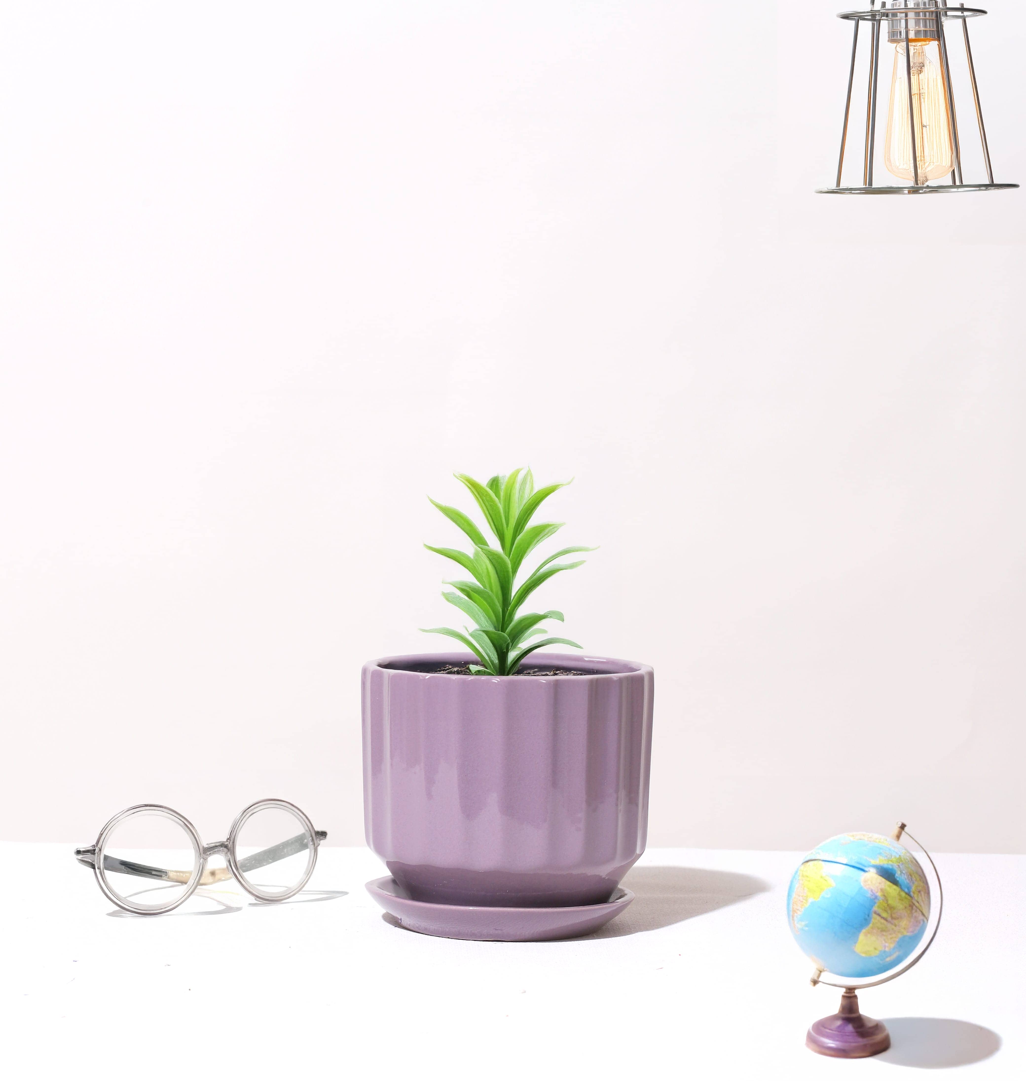 Bar Planter variation 1