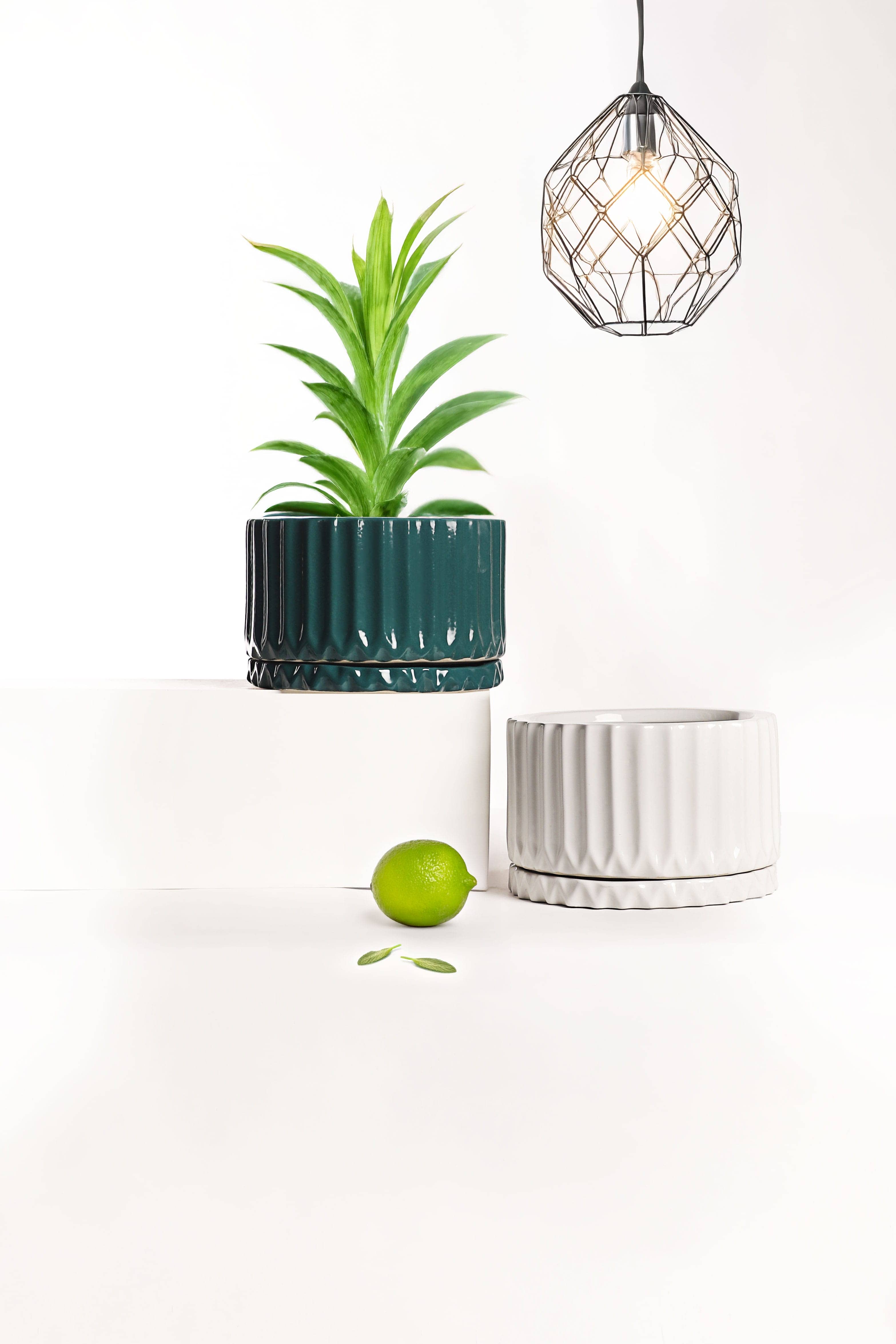 Bar Planter variation 1