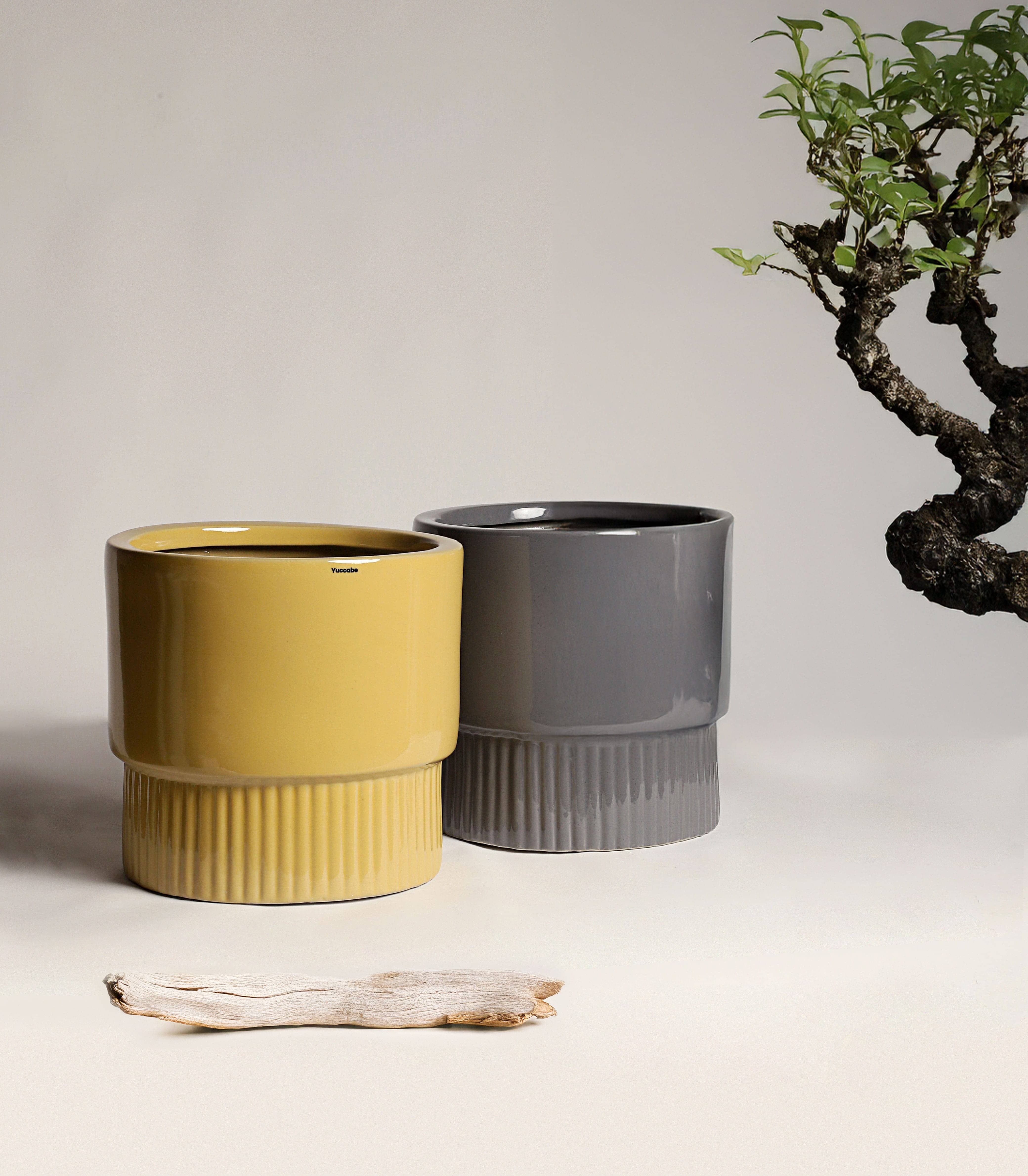 Bar Planter variation 1