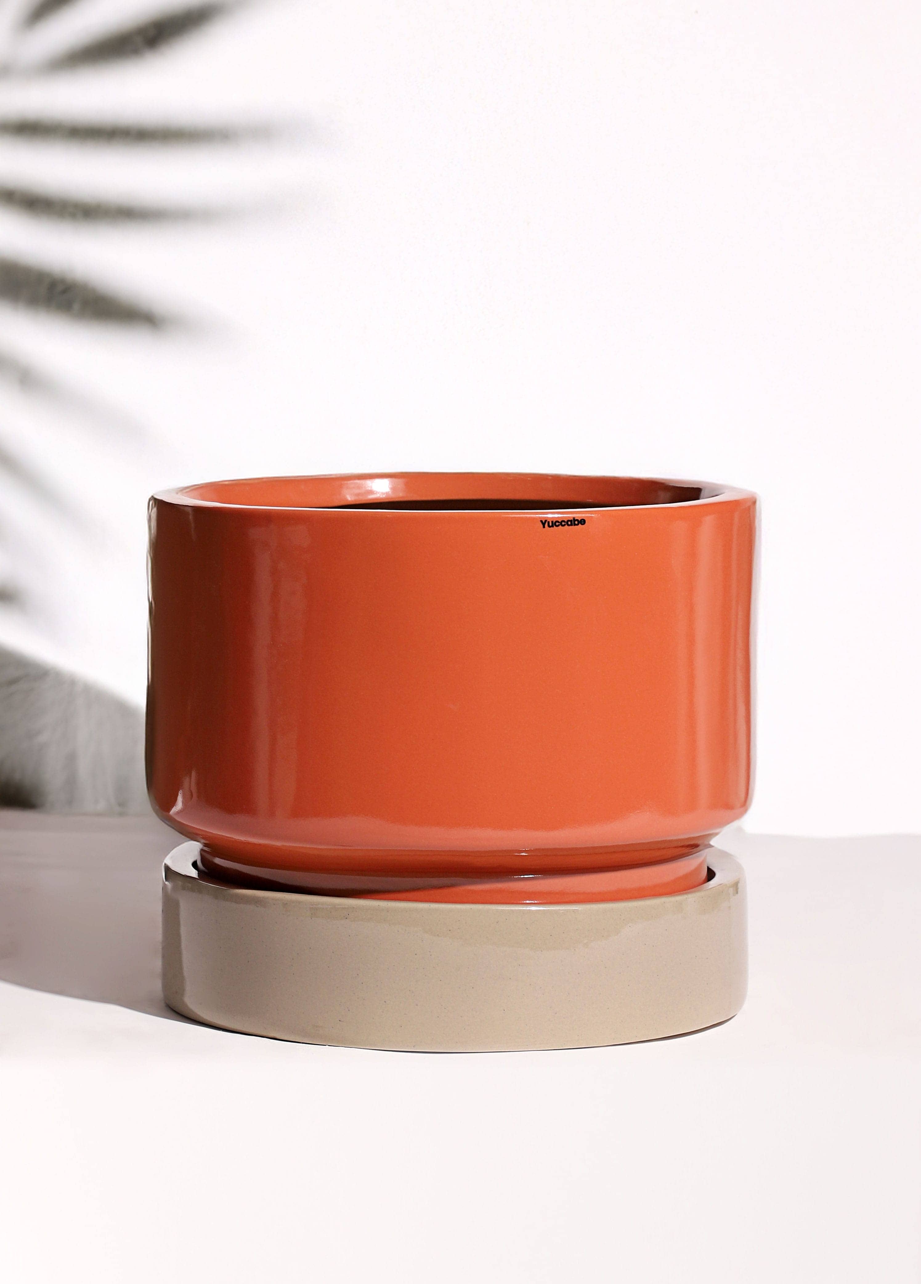 Bar Planter variation 1