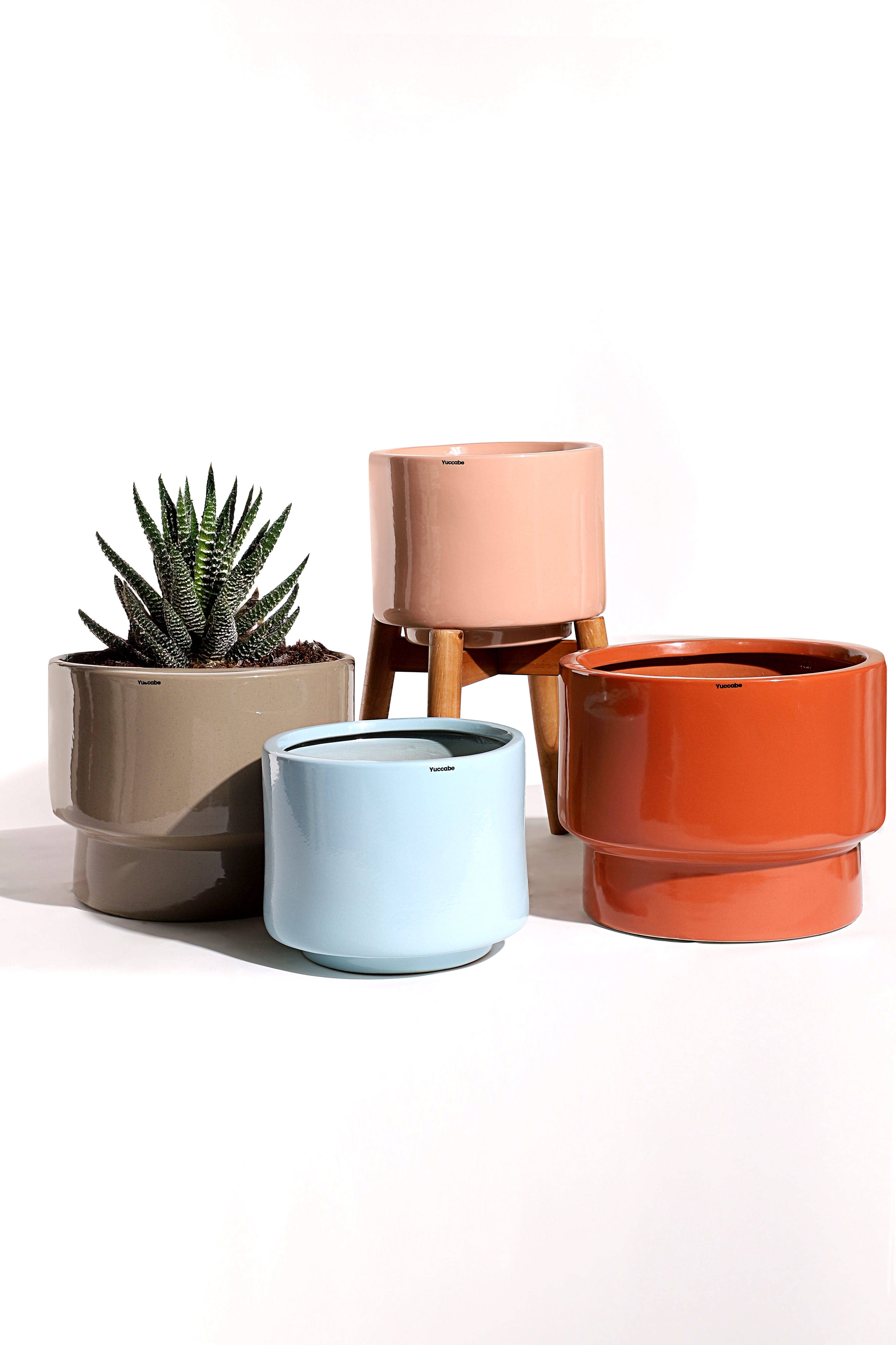 Bar Planter variation 1