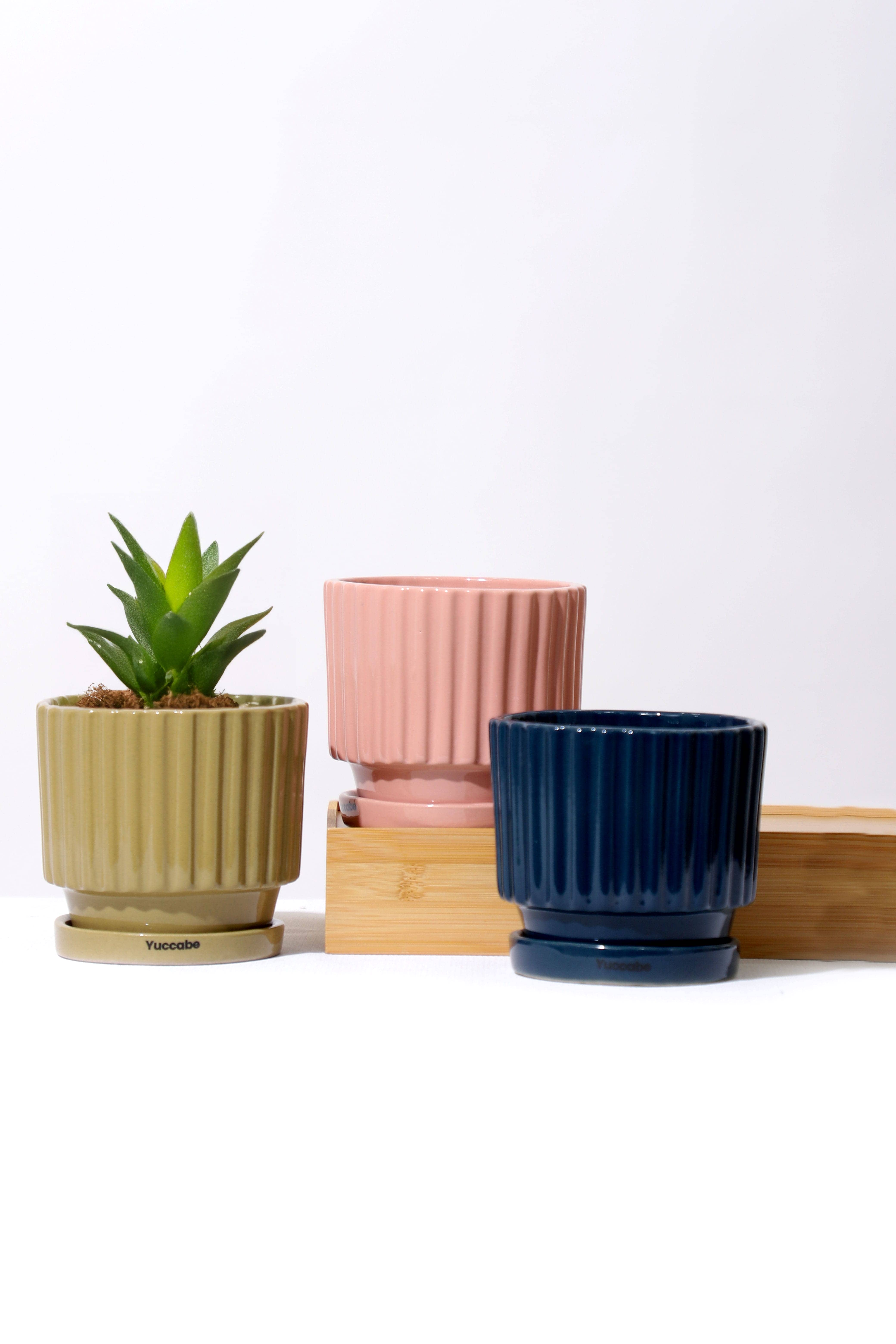 Bar Planter variation 1